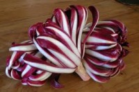 radicchio 1